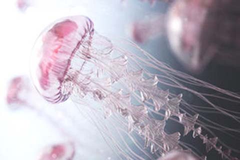 http://wenzhou.vdtfzz.com/post/208.html|温州人工试管