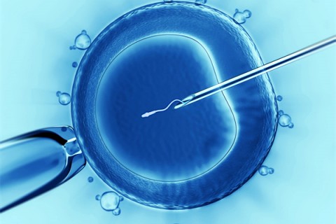 http://wenzhou.vdtfzz.com/post/198.html|温州代生助孕