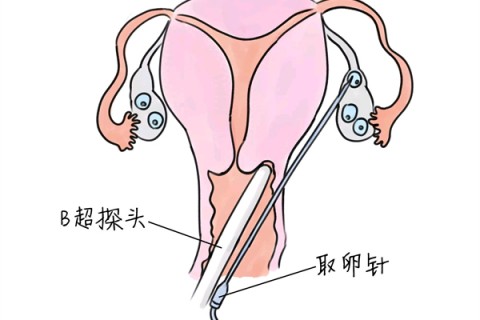 http://wenzhou.vdtfzz.com/post/205.html|温州供卵助孕