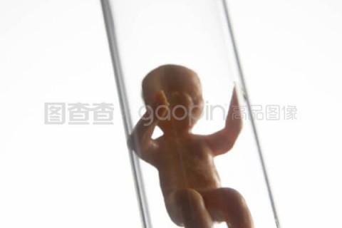 http://wenzhou.vdtfzz.com/post/197.html|温州试管助孕