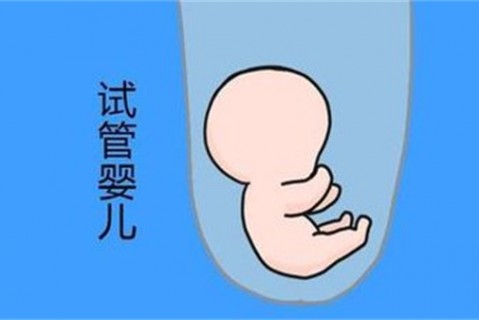 http://wenzhou.vdtfzz.com/post/194.html|温州新闻中心