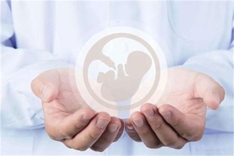 http://wenzhou.vdtfzz.com/post/214.html|温州人工试管