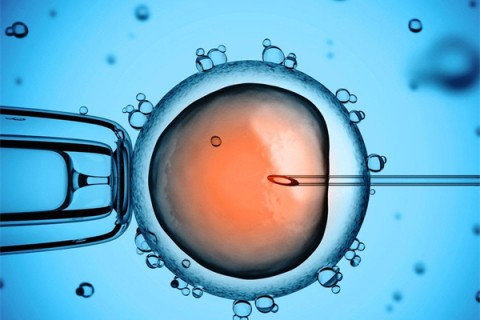 http://wenzhou.vdtfzz.com/post/199.html|温州供卵助孕